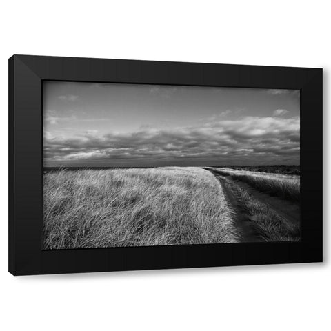 Road to the Beach Black Modern Wood Framed Art Print by Aledanda