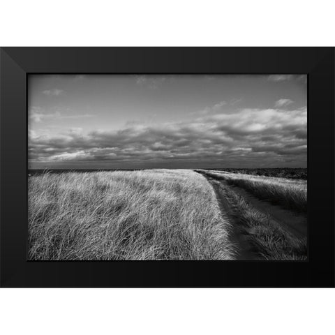 Road to the Beach Black Modern Wood Framed Art Print by Aledanda