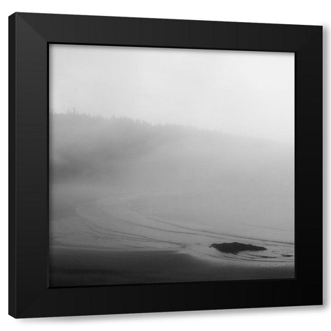 Salt Creek II Black Modern Wood Framed Art Print by Marshall, Laura