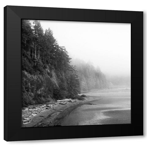 Salt Creek III Black Modern Wood Framed Art Print by Marshall, Laura