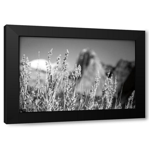 Canyon Sagebrush Black Modern Wood Framed Art Print with Double Matting by Marshall, Laura
