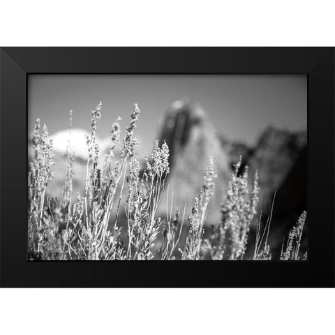 Canyon Sagebrush Black Modern Wood Framed Art Print by Marshall, Laura