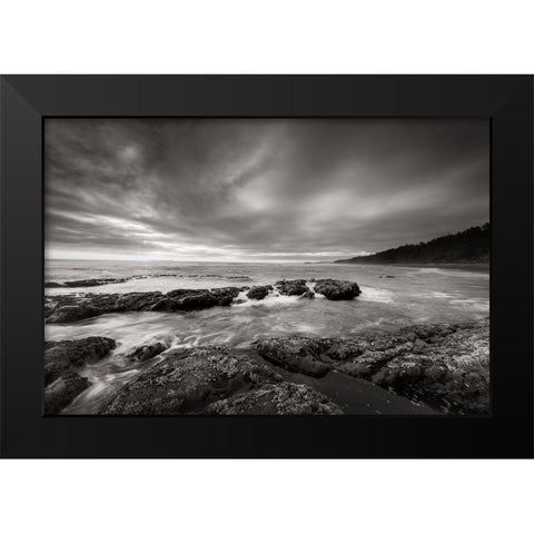 Kalaloch Beach Black Modern Wood Framed Art Print by Majchrowicz, Alan