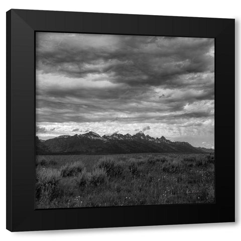 Grand Tetons II Black Modern Wood Framed Art Print with Double Matting by Eichman, Andre