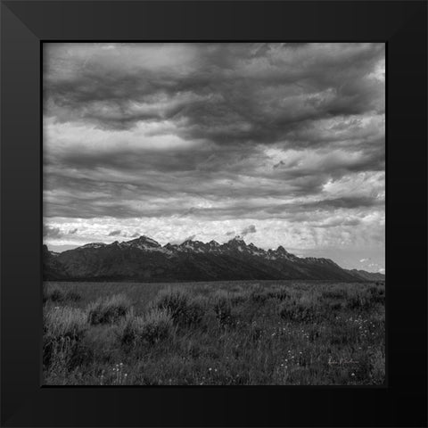 Grand Tetons II Black Modern Wood Framed Art Print by Eichman, Andre