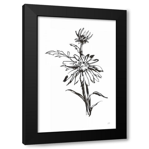 Line Echinacea I Black Modern Wood Framed Art Print with Double Matting by Paschke, Chris