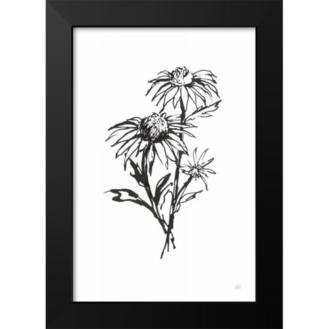Line Echinacea III Black Modern Wood Framed Art Print by Paschke, Chris