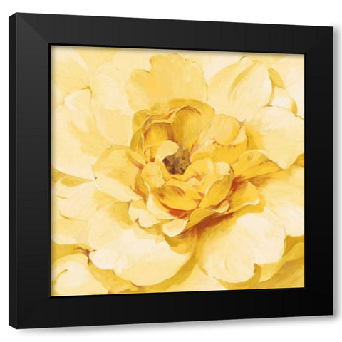 Yellow Peony Black Modern Wood Framed Art Print with Double Matting by Nai, Danhui