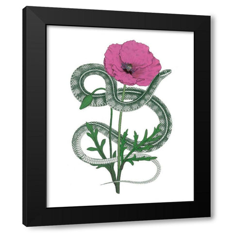 Natural Beauty I Pink Flower Black Modern Wood Framed Art Print by Wild Apple Portfolio