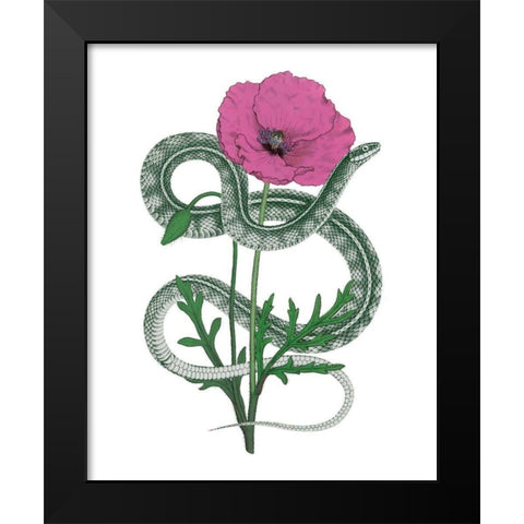 Natural Beauty I Pink Flower Black Modern Wood Framed Art Print by Wild Apple Portfolio