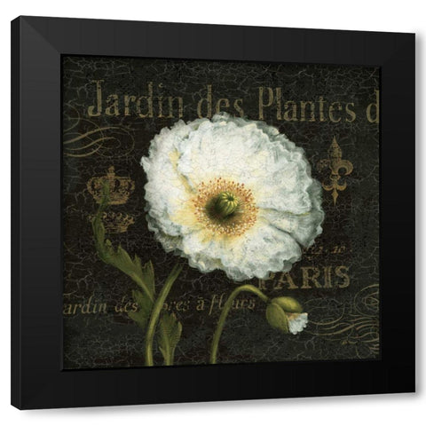 Botanical Garden I Black Modern Wood Framed Art Print with Double Matting by Brissonnet, Daphne