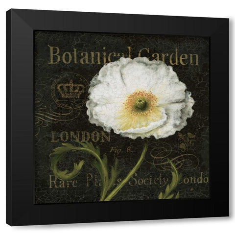 Botanical Garden II Black Modern Wood Framed Art Print with Double Matting by Brissonnet, Daphne