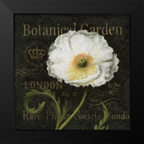 Botanical Garden II Black Modern Wood Framed Art Print by Brissonnet, Daphne