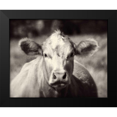 Pasture Cow Black Modern Wood Framed Art Print by Van Swearingen, Debra