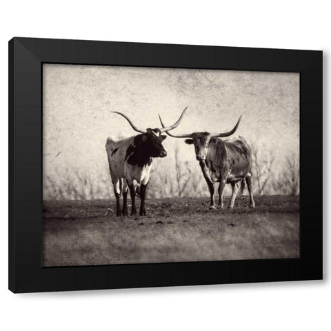 Texas Longhorns Black Modern Wood Framed Art Print with Double Matting by Van Swearingen, Debra