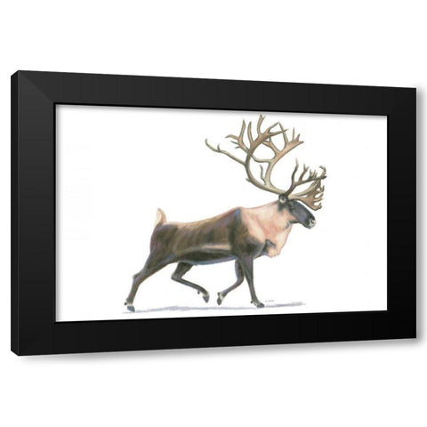 Northern Wild IV Black Modern Wood Framed Art Print with Double Matting by Wiens, James