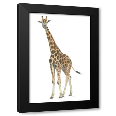 Wild and Free V Black Modern Wood Framed Art Print with Double Matting by Wiens, James