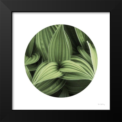 Corn Lily Circle I Black Modern Wood Framed Art Print by Majchrowicz, Alan