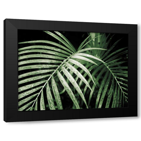 Palm Fronds Green Black Modern Wood Framed Art Print with Double Matting by Van Swearingen, Debra