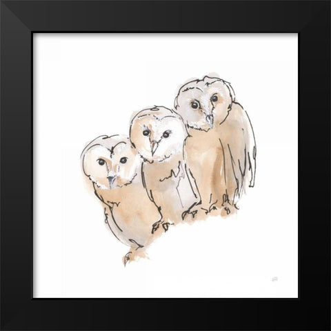 Barn Owl III Black Modern Wood Framed Art Print by Paschke, Chris