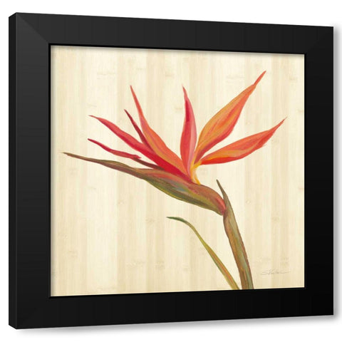 Tropical Garden IV Black Modern Wood Framed Art Print with Double Matting by Vassileva, Silvia