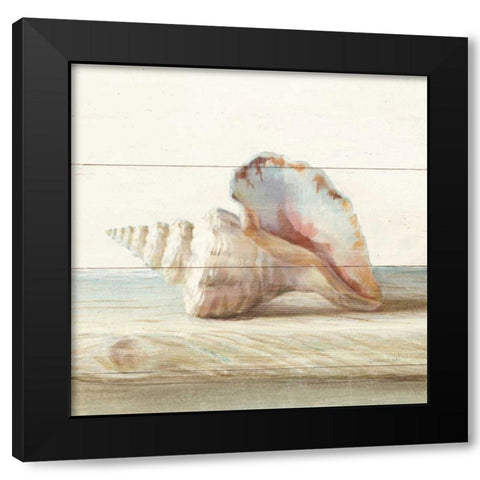 Driftwood Shell IV Black Modern Wood Framed Art Print with Double Matting by Nai, Danhui