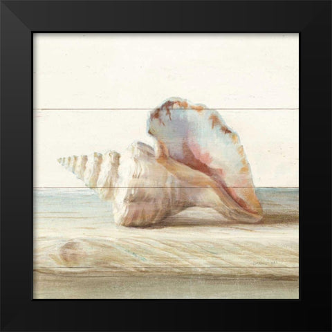 Driftwood Shell IV Black Modern Wood Framed Art Print by Nai, Danhui