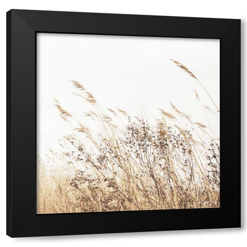 Autumn Grasses Crop Black Modern Wood Framed Art Print by Studio, Brookview