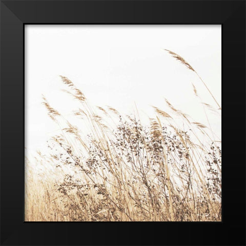 Autumn Grasses Crop Black Modern Wood Framed Art Print by Studio, Brookview