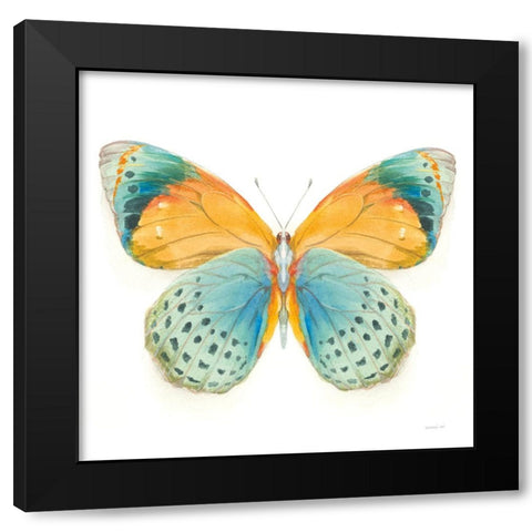 Fragile Wings Butterfly I Black Modern Wood Framed Art Print by Nai, Danhui