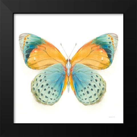 Fragile Wings Butterfly I Black Modern Wood Framed Art Print by Nai, Danhui