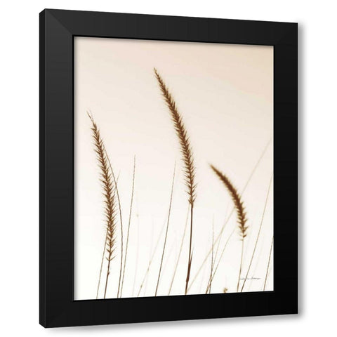 Field Grasses IV Sepia Black Modern Wood Framed Art Print by Van Swearingen, Debra