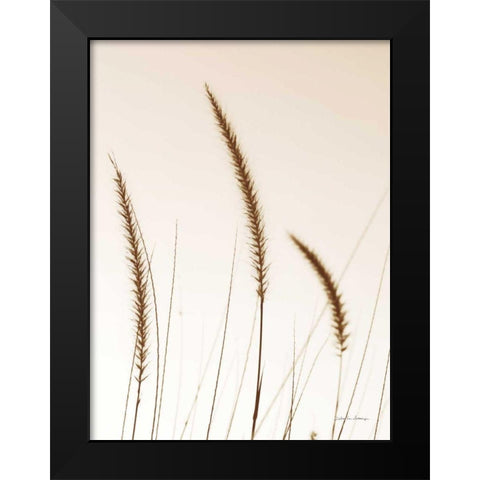 Field Grasses IV Sepia Black Modern Wood Framed Art Print by Van Swearingen, Debra