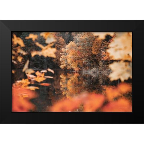 Autumn Reflections Black Modern Wood Framed Art Print by Marshall, Laura