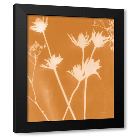 Enchanted Fall Cyanotype I Black Modern Wood Framed Art Print with Double Matting by Green, Nancy