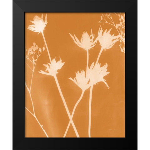 Enchanted Fall Cyanotype I Black Modern Wood Framed Art Print by Green, Nancy