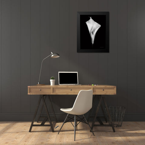 Elegant Calla I Black Modern Wood Framed Art Print by Catterall, Elise