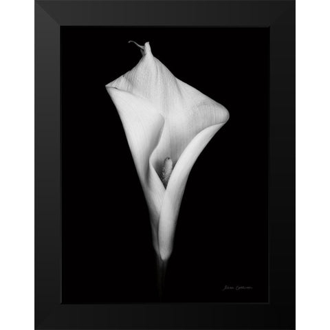 Elegant Calla I Black Modern Wood Framed Art Print by Catterall, Elise