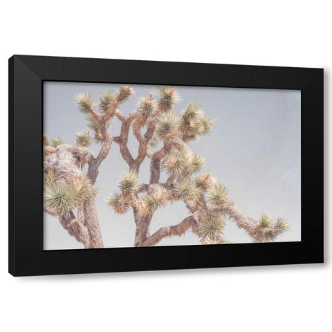 Desert Floral I Black Modern Wood Framed Art Print by Urquhart, Elizabeth