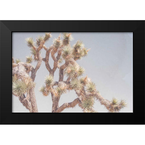 Desert Floral I Black Modern Wood Framed Art Print by Urquhart, Elizabeth