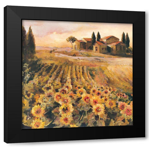 Sunflowers in Italy Black Modern Wood Framed Art Print with Double Matting by Hageman, Marilyn