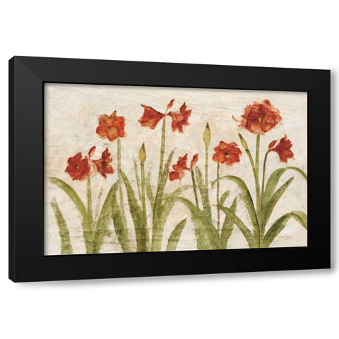 Row of Red Amaryllis Light Black Modern Wood Framed Art Print with Double Matting by Blum, Cheri