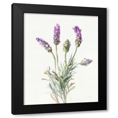 Floursack Lavender II on Linen Black Modern Wood Framed Art Print with Double Matting by Nai, Danhui