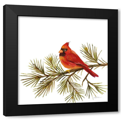 Cardinal Christmas V on White Black Modern Wood Framed Art Print with Double Matting by Vassileva, Silvia