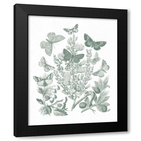 Butterfly Bouquet II Sage Black Modern Wood Framed Art Print with Double Matting by Wild Apple Portfolio