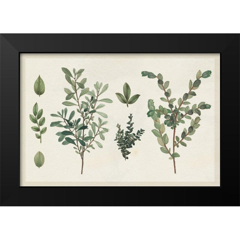 Victorian Garden Chart I Black Modern Wood Framed Art Print by Wild Apple Portfolio