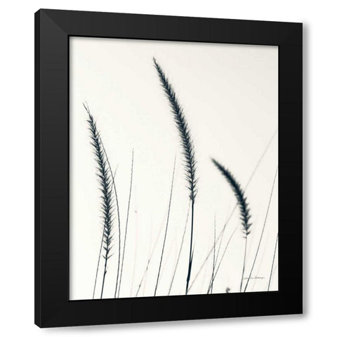 Field Grasses IV BW Crop Black Modern Wood Framed Art Print with Double Matting by Van Swearingen, Debra