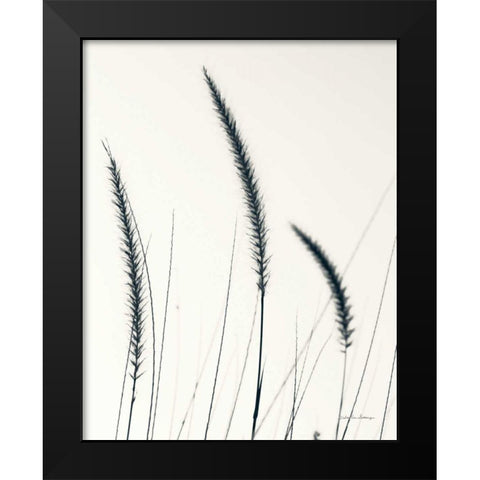 Field Grasses IV BW Crop Black Modern Wood Framed Art Print by Van Swearingen, Debra