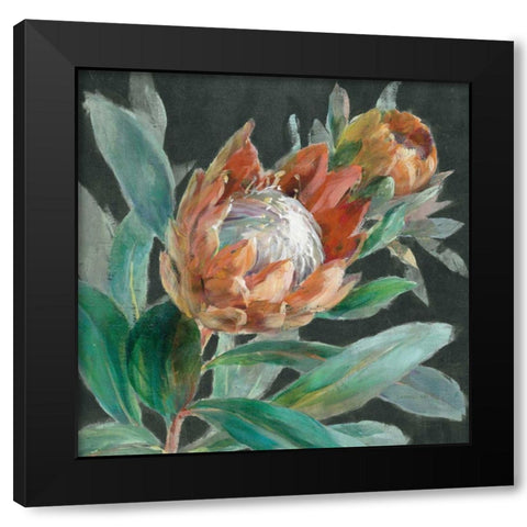 Deep Tropical Protea Crop Black Modern Wood Framed Art Print with Double Matting by Nai, Danhui