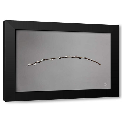 Springtime in the Air Black Modern Wood Framed Art Print by Larson, Nathan